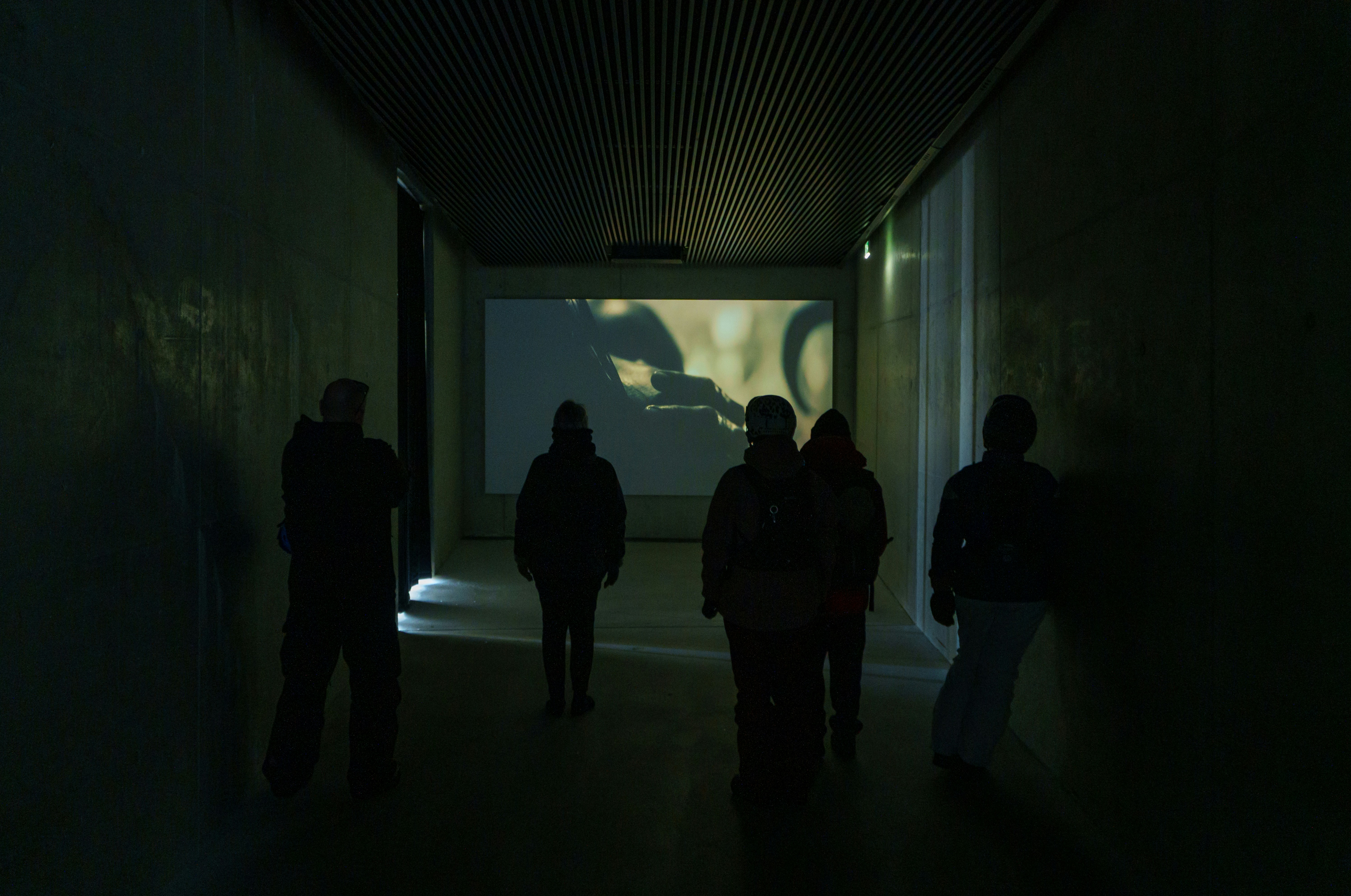 Audience watching indie film in a theater